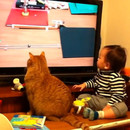 Un chat et un bébé regardent du Rube Goldberg à la télé