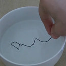 miniature pour Un trombone qui reprend sa forme dans l'eau