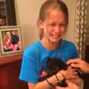 miniature pour Une petite fille reçoit un chiot pour son anniversaire