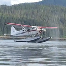 miniature pour Un avion a failli se poser sur une baleine