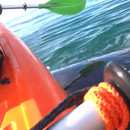kayak-souleve-par-baleine