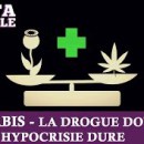 cannabis-drogue-douce-hypocrisie-dure