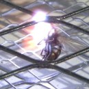 raquette-mouches-electrique-slowmotion