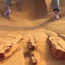 miniature pour Jouer dans le sable du Sahara