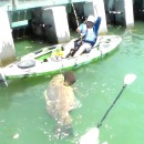 miniature pour Un kayak, un homme, un poisson