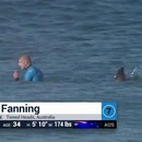 miniature pour Un requin attaque un surfeur en compétition