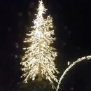 miniature pour Jolie décoration lumineuse sur un arbre