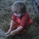 petite-fille-aide-mouton-mettre-bas