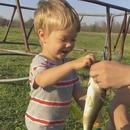miniature pour Un petit garçon attrape son premier poisson
