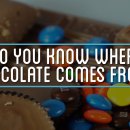miniature pour D'où vient le chocolat ?