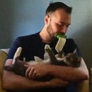 miniature pour Une brosse pour lécher votre chat