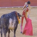 miniature pour Le Torero Victor Barrio tué par le taureau