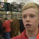 miniature pour Un enfant se fait écraser par 2 vaches