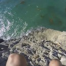 miniature pour Un saut trop près d'une falaise