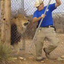 lion-peur-gardien
