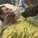 miniature pour Un chien sur le lit d'hôpital de son maître mourant
