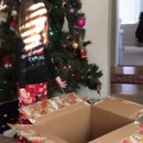 fille-carton-vide-noel