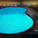 casse-pieds-sauter-piscine