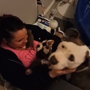 chienne-met-petits-bras-nouvelle-maitresse