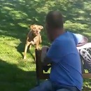 miniature pour Il perd 23kg et son chien ne le reconnait plus