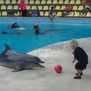 dauphin-joue-ballon-enfant