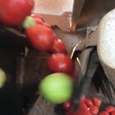 systeme-tri-rapide-tomates-mures