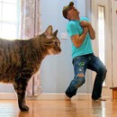 semblant-mourir-devant-chat