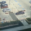 miniature pour Une voiture roule sur du ciment frais sans barrières