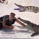 miniature pour Un crocodile croque le bras de son dompteur