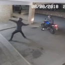 criminels-eliminer-eux-memes