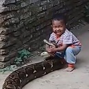 miniature pour Un enfant joue avec un python