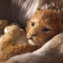 miniature pour Le Roi Lion (2019) - Bande Annonce