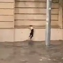chat-vs-inondation