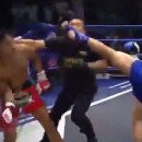 combattant-muay-thai-elimine-adversaire-arbitre