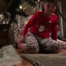miniature pour Une caméra sous le sapin pour filmer le Père Noël