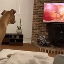 miniature pour Un chien triste à la mort de Mufasa du Roi Lion