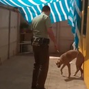 chien-remercie-policier-aide