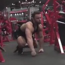 gorille-male-salle-gym