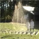 coca-and-mentos-domino-effect