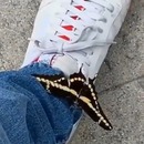 miniature pour Marcher avec un papillon sur sa chaussure