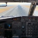 oiseau-ecrabouille-vitre-avion