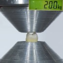 miniature pour Combien de kilos de pression une dent peut supporter ?