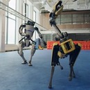 miniature pour Plusieurs robots de Boston Dynamics dansent sur Do You Love Me