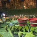 miniature pour Des singes fuient des feux d'artifices