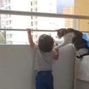 miniature pour Un chat empeche un enfant de s'approcher du balcon