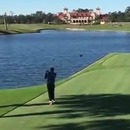 miniature pour Il tue un canard en jouant au golf