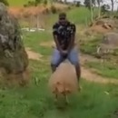 homme-saute-mouton-attaque
