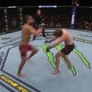 miniature pour Les KO les plus rapides en UFC
