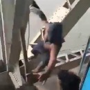 miniature pour Sur un pont, il vole le téléphone des passagers du train