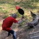 Il chasse un crocodile de son jardin avec une poêle